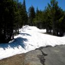 Wrights Lake Road, 17 June 2011