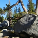 To Lyons Lake June 2012