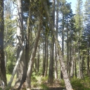 Grouse and Smith Lakes, views and trail 