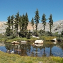 Encounter Monitoring:  8-11-13 = Twin Lakes to Island Lake