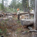Adopt Deso - Red Peak Trail:  7-31-15