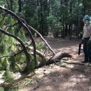 National Trails Day:  June3, 2017:  Towering Rocks and Millionaire Camp Trails