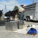 More 2011 Season Photo-opp's
