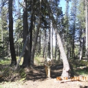 Trail Conditions - June 14, 2012  