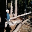Rubicon log out
