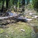 Lyons Creek to Lake Sylvia