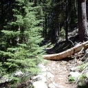 Meeks Creek Trail June 15, 2015