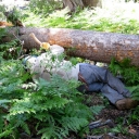 Rockbound logout, 7-7-12