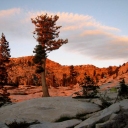 Campsite Monitoring, Tyler Lake, July 28-30, 2013