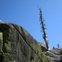 photo thumbnail