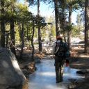 Icy trails