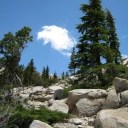 photo thumbnail