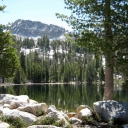 Grouse Lake: The fish are jumping!