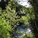 Lee Vining Creek