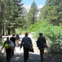 campsite restoration crew