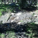 Lyons Creek Trail 6/26/12