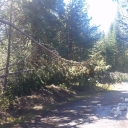 Van Vleck Conditions 6/14