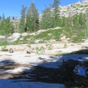 Willow Flat Monitoring Photos