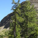 Brown Mountain