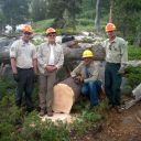 Stump Removal by Deso Volunteer Sawyers