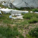 Tyler Lake Campsite Monitoring