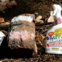 Graffiti Removal Test