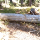 General Creek Trail