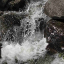 National Trails Day 6/7/14 on Twin Lakes Trail